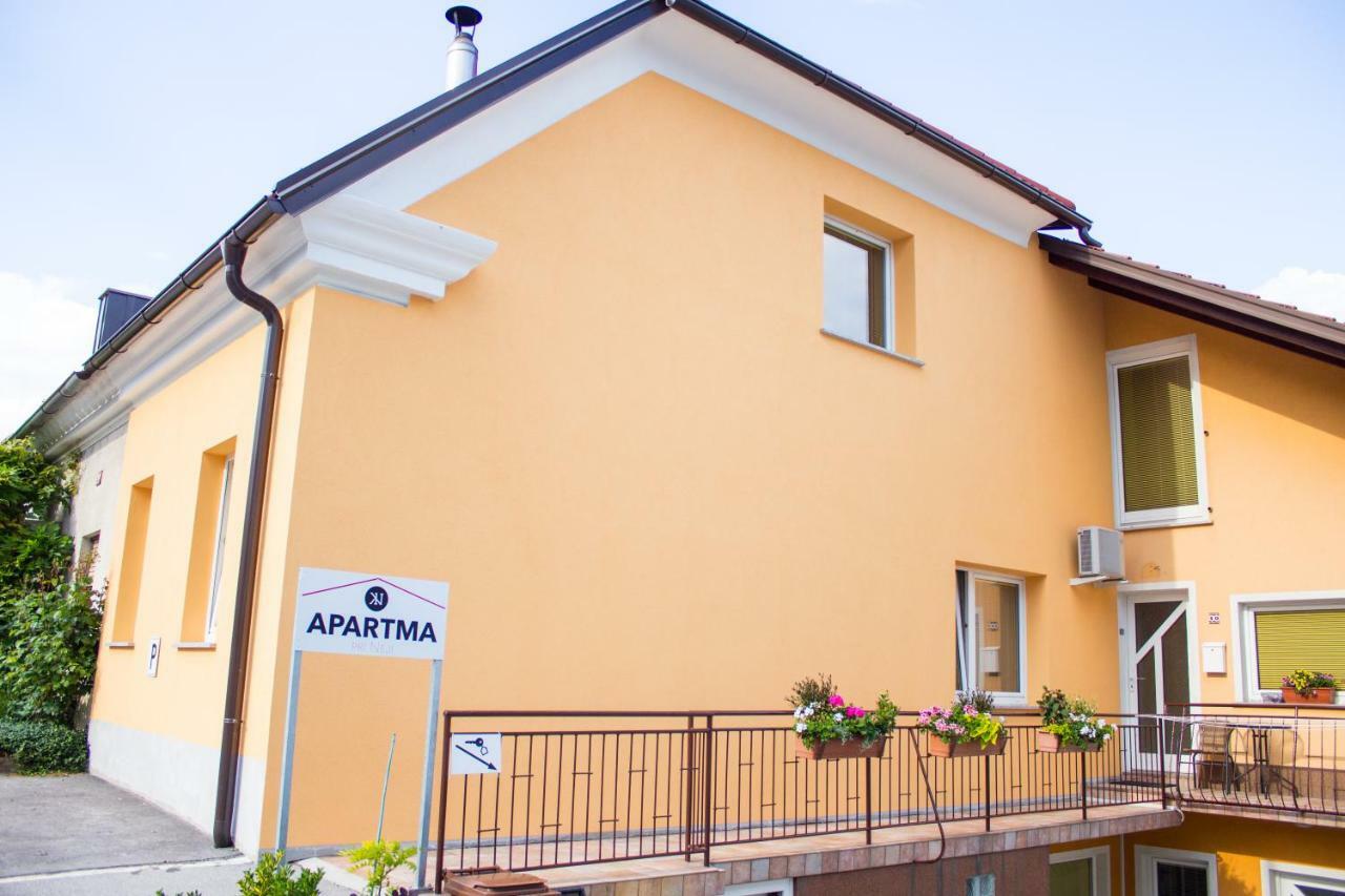 Pri Neji Apartment Postojna Bagian luar foto